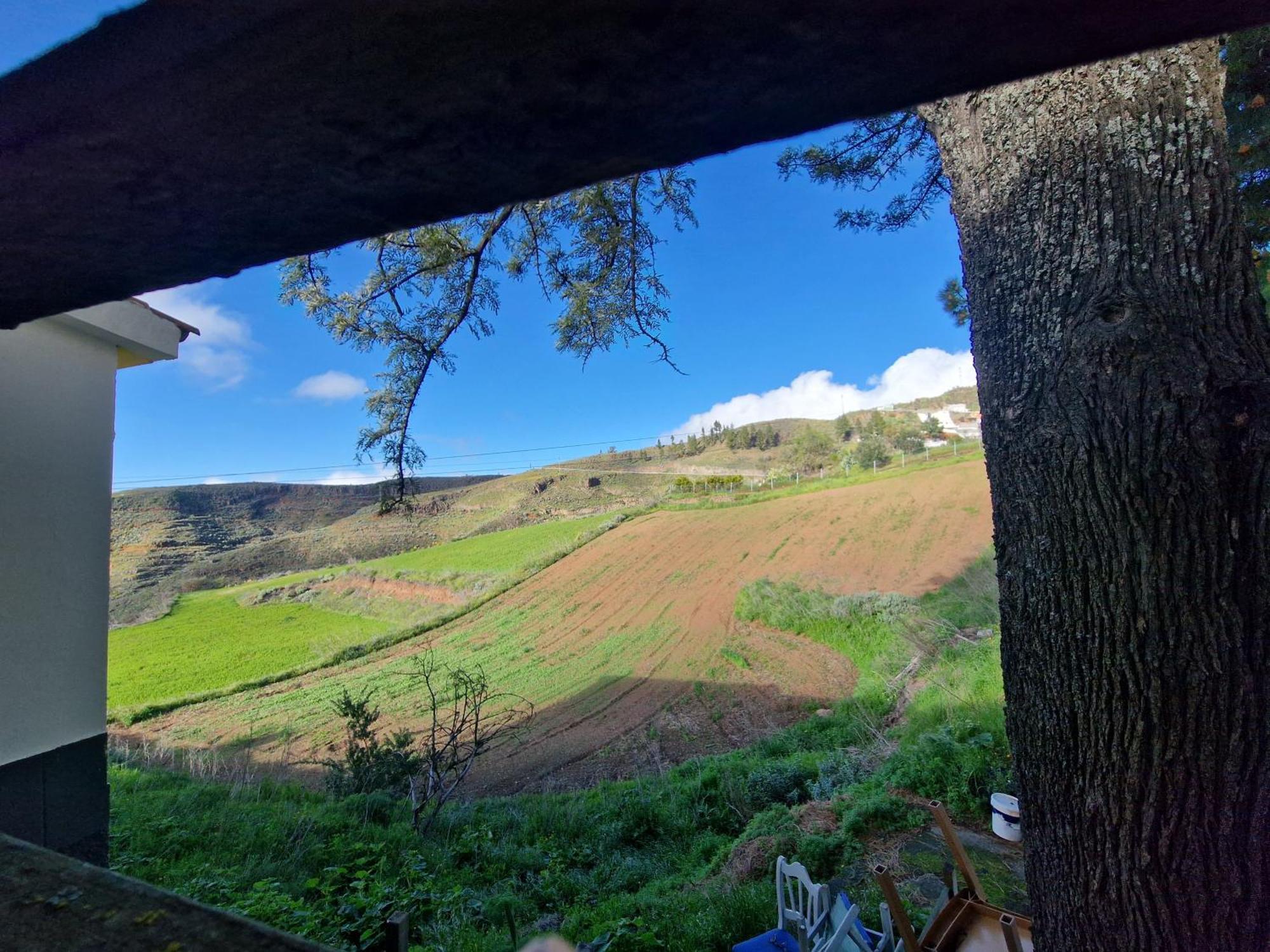 Hotel Rural Juncalillo Gáldar 外观 照片