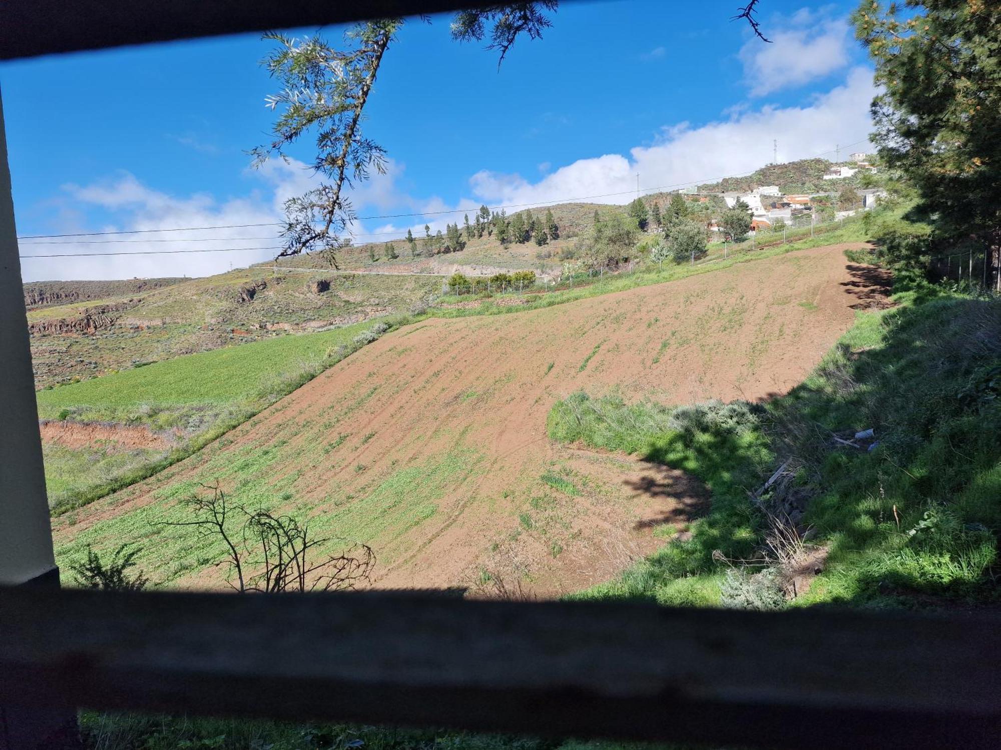 Hotel Rural Juncalillo Gáldar 外观 照片